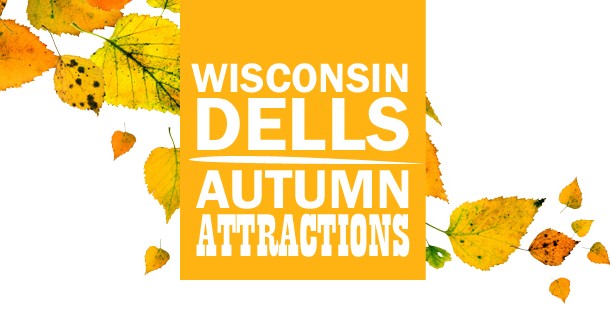 Autumn Attractions