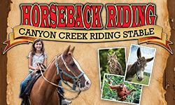 Canyon Creek Riding Stable