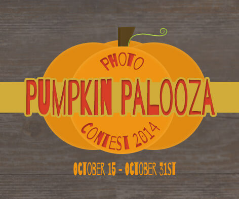 2014 Pumpkin Palooza Photo Contest
