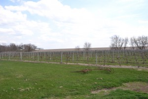 winery dells trolley spotlight tour burr oak dsc