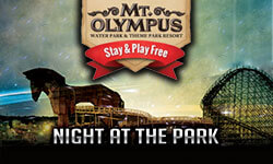 maximize the pay gap shirt