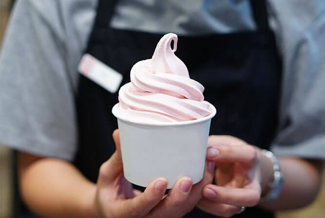 frozen yoghurt for dogs