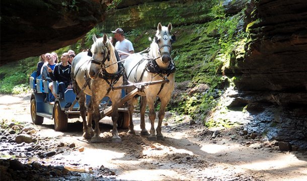Don’t Miss These Fall Attractions