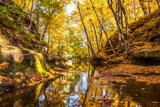 Skillet Creek in Autumn